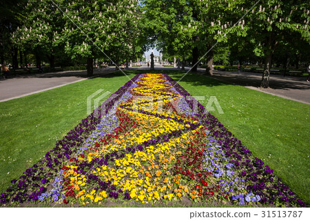 Flowers in the Saxon Garden in Warsaw 31513787