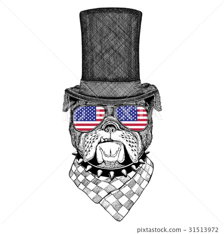 bulldog top hat