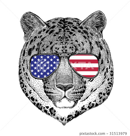 Wild cat Leopard Cat-o'-mountain Panther Hand 31513979