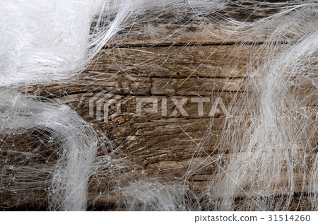 Fishing net from the fishing line close up 31514260