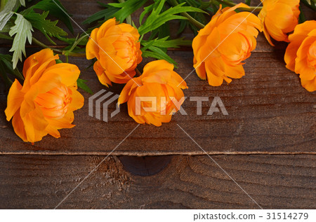 Beautiful orange flowers on wooden background Beautiful orange flowers on wooden background 31514279