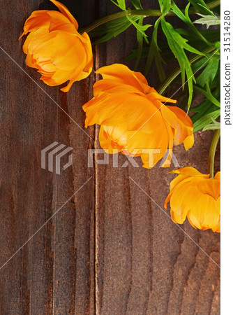 Beautiful orange flowers on wooden background Beautiful orange flowers on wooden background 31514280