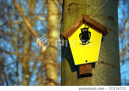 On a tree attached yellow sign with an owl 31514722