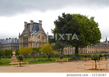 Louvre museum from the Tuileries garden Louvre museum from the Tuileries garden 31516367
