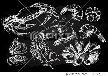 Seafood hand drawn collection 31517112