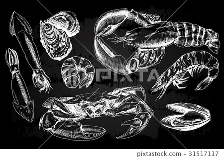 Seafood hand drawn collection 31517117