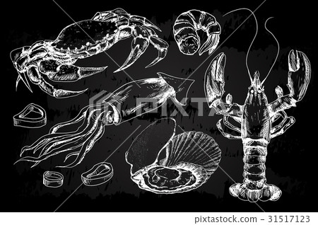 Seafood hand drawn collection 31517123