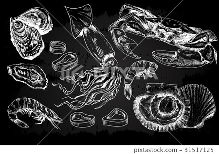 Seafood hand drawn collection 31517125