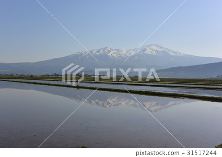 Spring Chokaiyama 31517244