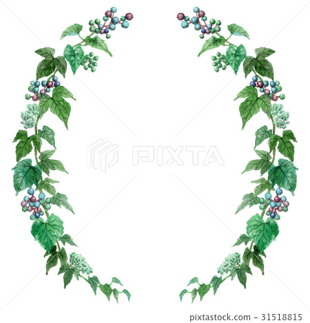 Half circular decoration frame of wild grapes 31518815