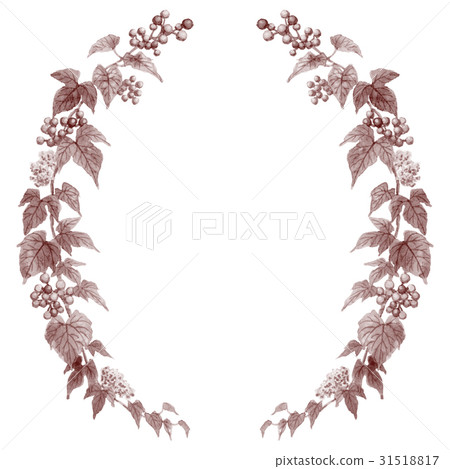 Half circular decoration frame of wild grape sepia Half circular decoration frame of wild grape sepia 31518817