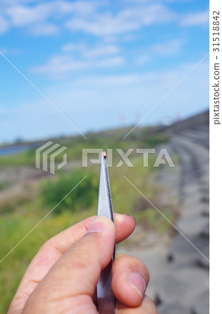 採摘微塑料 31518842