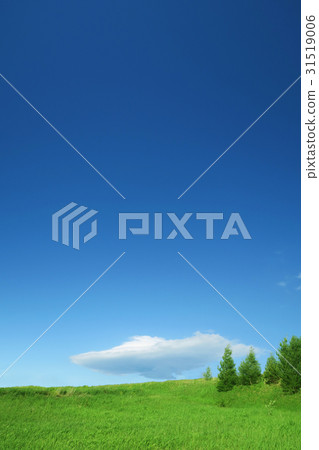 Prairie and green and blue sky Prairie and green and blue sky 31519006