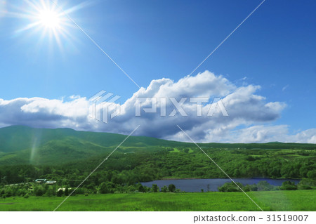 Sun and lake with green Sun and lake with green 31519007