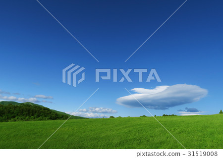 Prairie and mountains and blue sky Prairie and mountains and blue sky 31519008