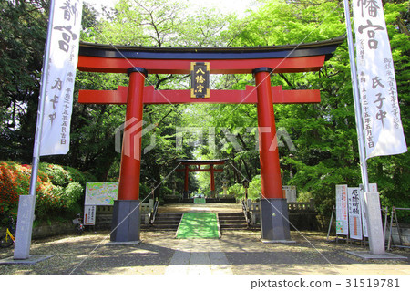 大宮八幡宮的新鮮綠色 31519781