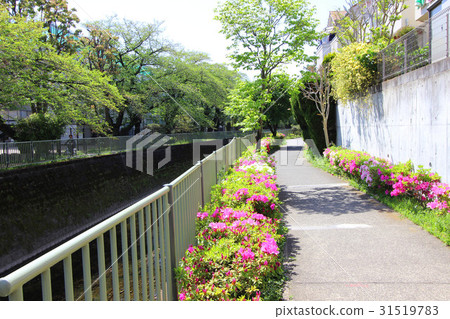 Eifuku中央公園 31519783