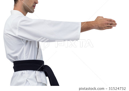 Mid section of fighter performing karate stance Mid section of fighter performing karate stance 31524732