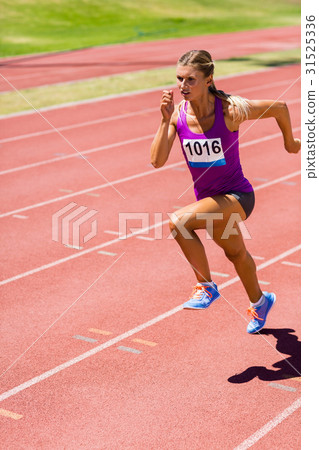 Female athlete running on the racing track 31525336