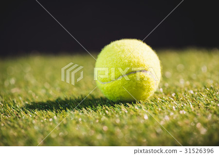 Close up of tennis ball 31526396