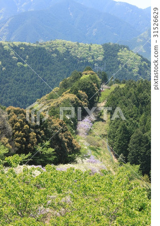 Wakayama Miyama no Sato Fujiyama Road 31526629