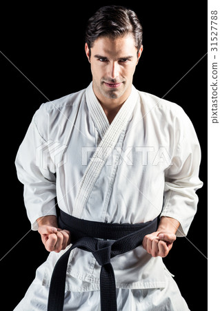 Portrait of fighter performing karate stance 31527788