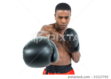 Boxer performing upright stance 31527793