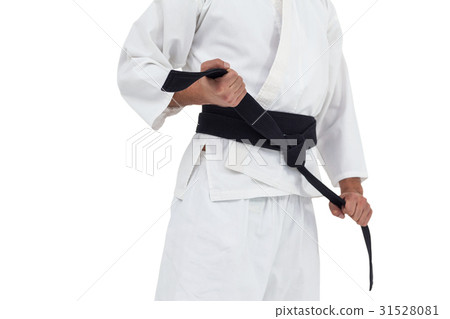 Mid section of fighter tightening karate belt 31528081