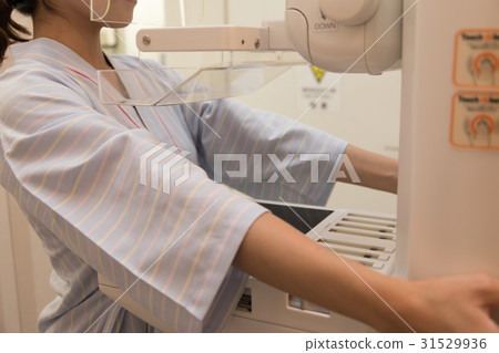 Mammography Mammography 31529936