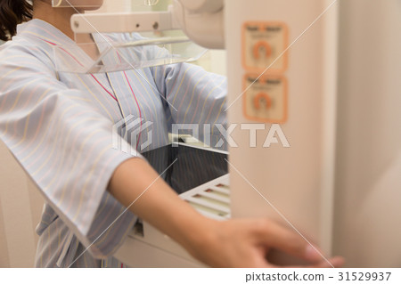 Mammography 31529937