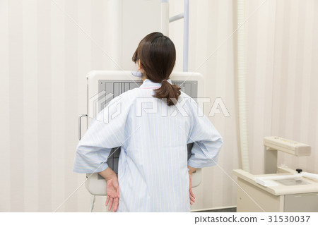 Hospital Human Dock X-ray 31530037