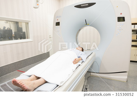 The human dog CT MRI 31530052