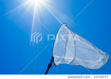 Blue sky and insect net "Summer image" 31530477