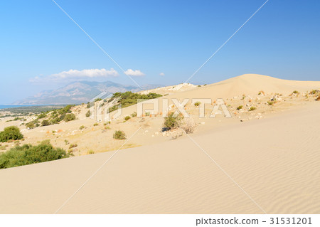 Sand dunes on Patara beach. Turkey 31531201