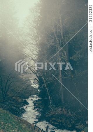 Foggy forest with little waterfall Foggy forest with little waterfall 31532322
