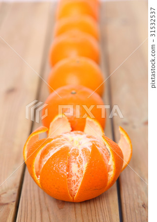 短觀飛碟後排 短觀飛碟後排 31532537