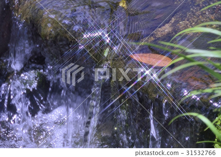 Rainbow light shining in running water Rainbow light shining in running water 31532766