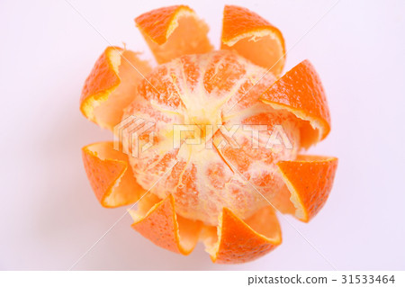 Honeysuck white back stripped peel 31533464