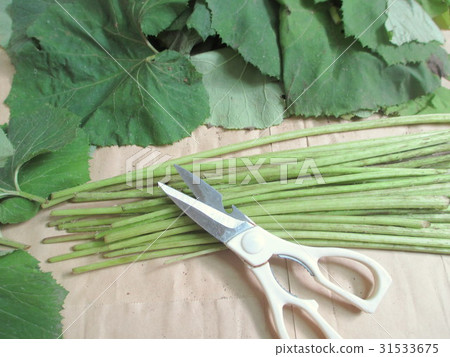 Prepare a Fudge of Fuki Cutting Leaves (Fruit Harvested) 31533675