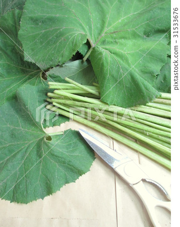 Prepare a Fudge of Fuki Cutting Leaves (Fruit Harvested) 31533676