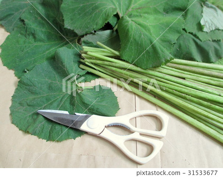 Prepare a Fudge of Fuki Cutting Leaves (Fruit Harvested) Prepare a Fudge of Fuki Cutting Leaves (Fruit Harvested) 31533677