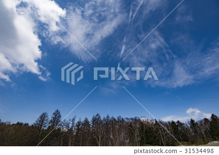 Nagano Prefecture around Okiiyama Blue sky and clouds 31534498