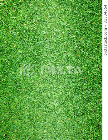 grass background Golf Courses green lawn 31534654