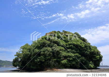Uratan Bay Nagatsutsuki Island退潮 31534846