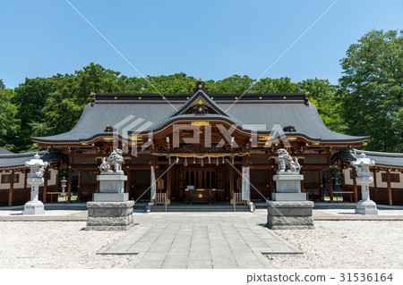 Tachikawa Seiza Suwa Shrine 31536164