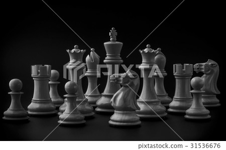 Black and White King and Knight of chess. 31536676