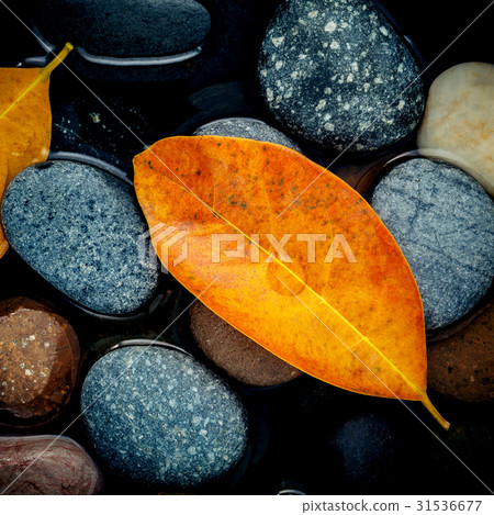 Autumn season and peaceful concepts.  31536677