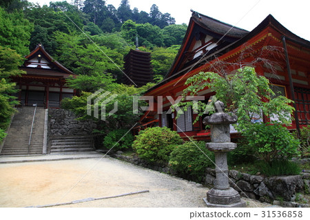 Daisan Shrine · Maple maple 31536858