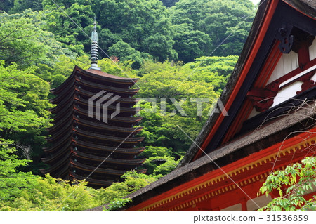 Daisan Shrine · Maple maple 31536859