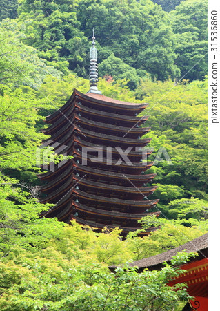 Daisan Shrine · Maple maple 31536860